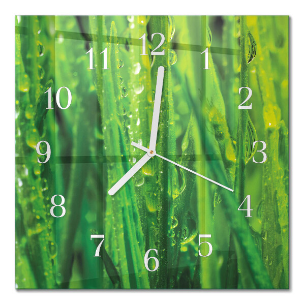 Square wall clock Grass