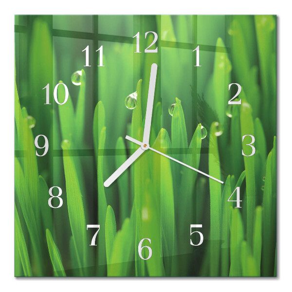 Square wall clock Grass