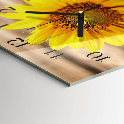 Glass wall clock square Sunflower
