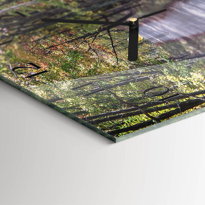 Square wall clock Forest path