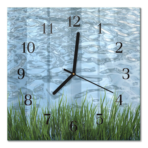 Glass clock square Grass water