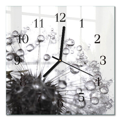 Square wall clock Dandelion