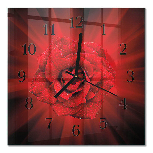 Square kitchen clock Rose