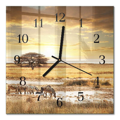 Glass wall clock square Zebras