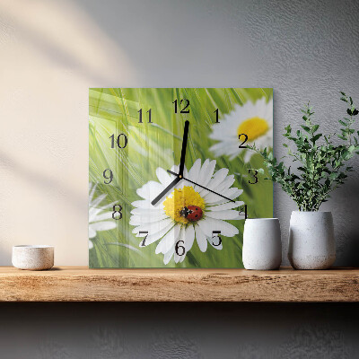 Glass wall clock square Daisies