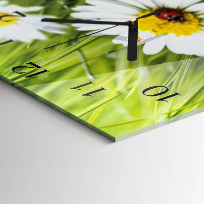 Glass wall clock square Daisies