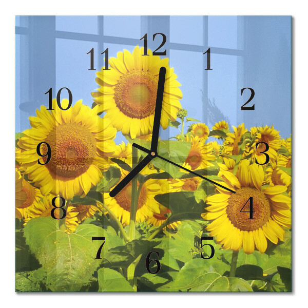 Glass wall clock square Sunflowers