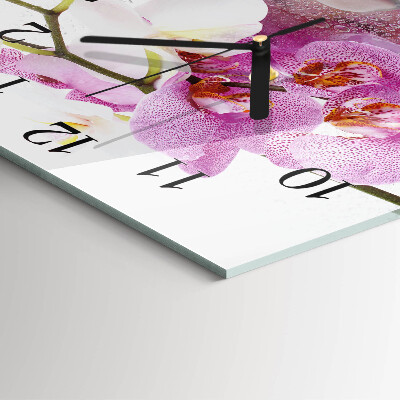 Square kitchen clock Orchid