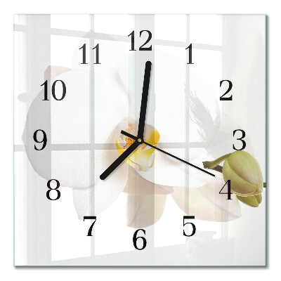 Square wall clock Orchid
