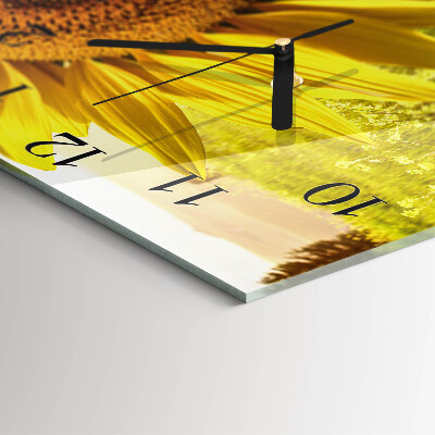 Glass wall clock square Sunflower
