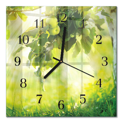 Glass wall clock square Apple tree