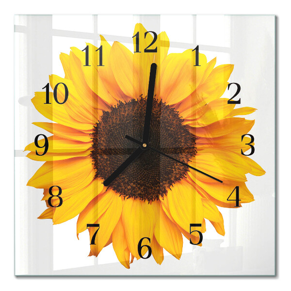 Glass wall clock square Sunflower