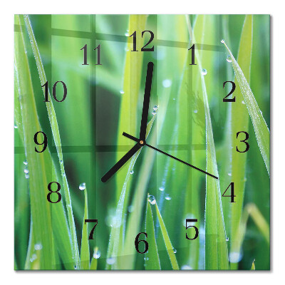Glass clock square Grass