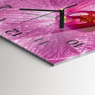 Square kitchen clock Orchid