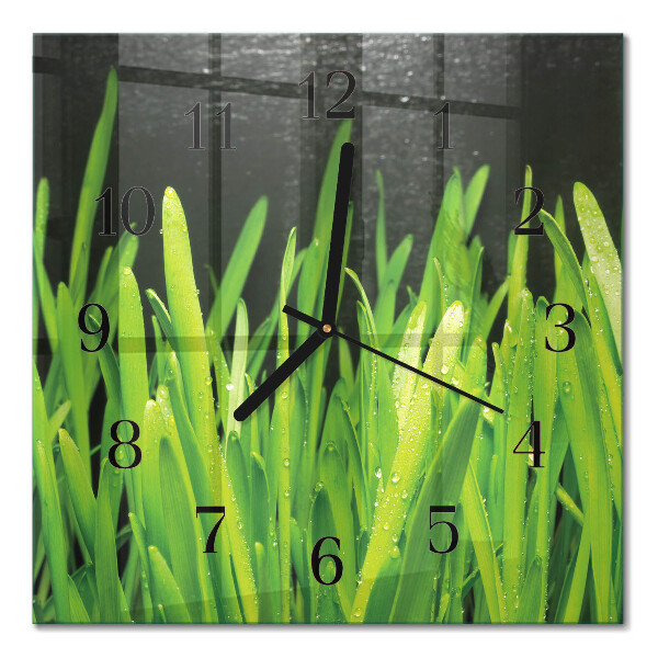 Glass wall clock square Grass