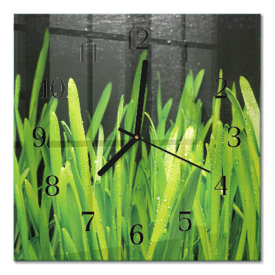 Glass wall clock square Grass