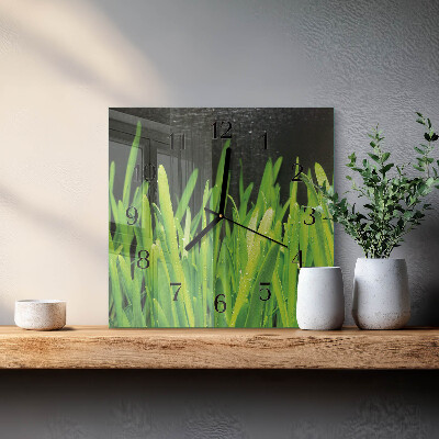 Glass wall clock square Grass