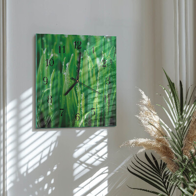 Glass wall clock square Green grass