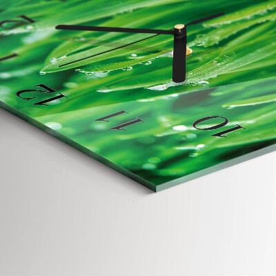 Glass wall clock square Green grass