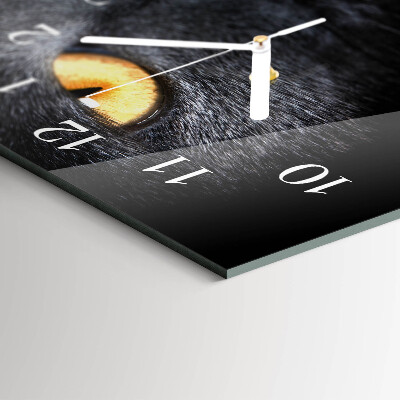 Horizontal rectangular wall clock Tomcat