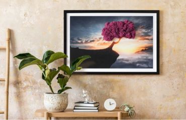 Moss wall art: exploring nature's serene beauty