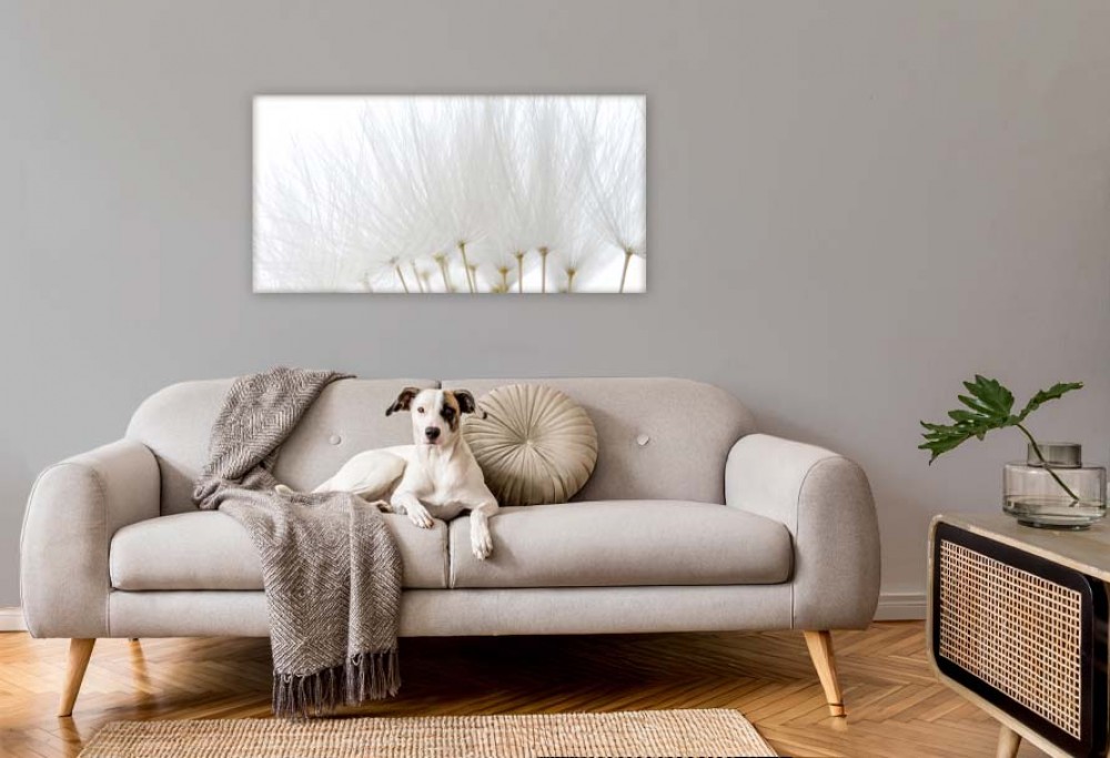 interior color of the year 2026