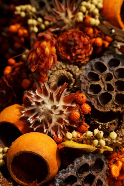 Autumn wall decorations - it's time to start the new season