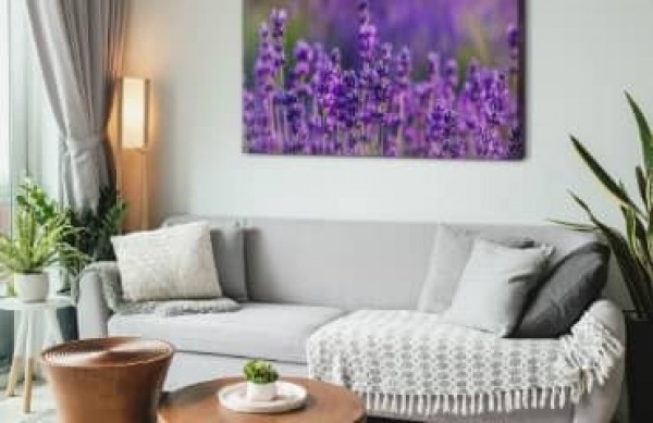 Living room in Provence style! Inspirations and ideas for a rustic interior